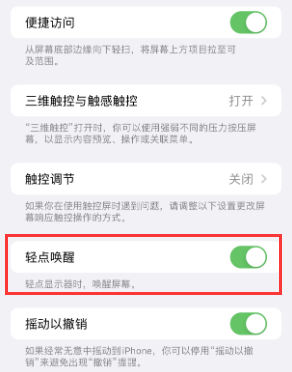 苏家屯苹果授权维修站分享iPhone轻点无法唤醒怎么办 