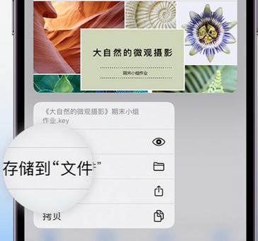 苏家屯apple维修中心分享iPhone文件应用中存储和找到下载文件