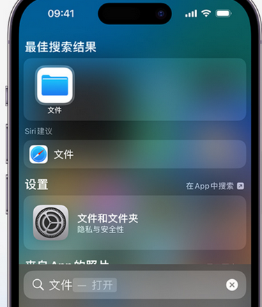 苏家屯apple维修中心分享iPhone文件应用中存储和找到下载文件