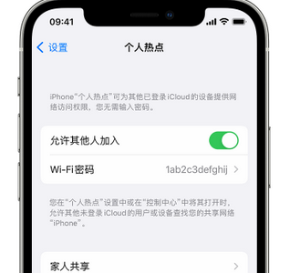 苏家屯apple服务站点分享iPhone上个人热点丢失了怎么办