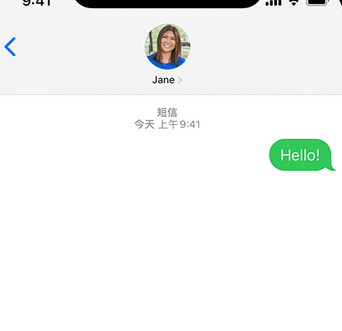 苏家屯apple维修iPhone上无法正常发送iMessage信息