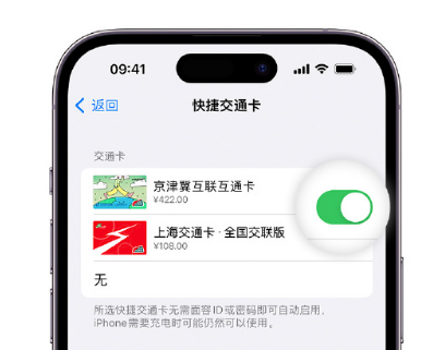 苏家屯apple维修点分享iPhone上更换Apple Pay快捷交通卡手绘卡面 