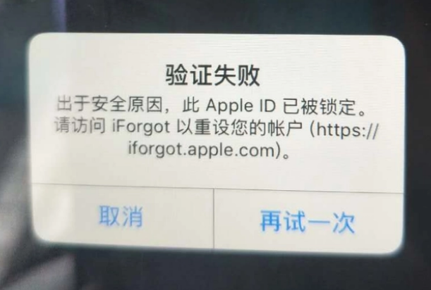 苏家屯iPhone维修分享iPhone上正常登录或使用AppleID怎么办 