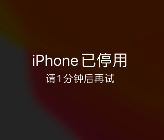 苏家屯苹果手机维修分享:iPhone 显示“不可用”或“已停用”怎么办？还能保留数据吗？ 