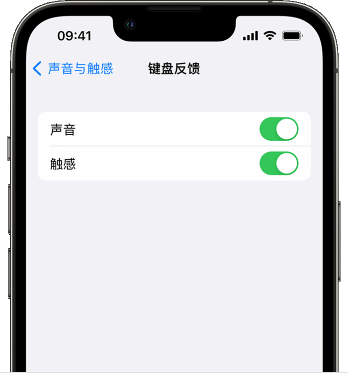 苏家屯苹果14维修店分享如何在 iPhone 14 机型中使用触感键盘 