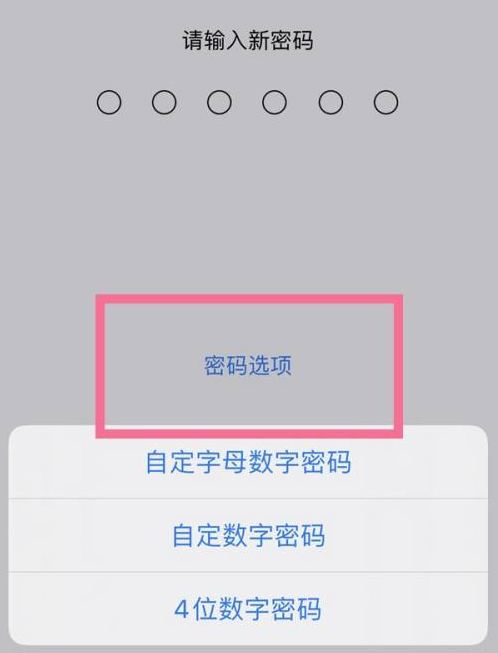 苏家屯苹果14维修分享iPhone 14plus设置密码的方法 