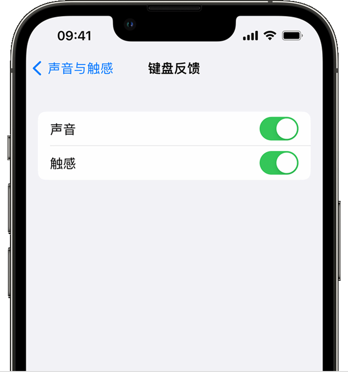 苏家屯苹果14维修分享iPhone 14 系列机型如何开启键盘声音或触感反馈 