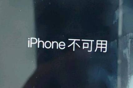 苏家屯苹果服务网点分享锁屏界面显示“iPhone 不可用”如何解决 