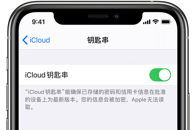 苏家屯苹果手机维修分享在 iPhone 上开启 iCloud 钥匙串之后会储存哪些信息 