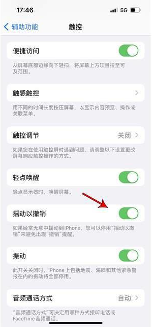 苏家屯苹果手机维修分享iPhone手机如何设置摇一摇删除文字 