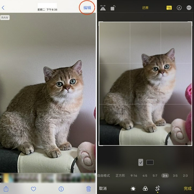 苏家屯苹果手机维修分享苹果 iPhone 12 Pro 拍照会过度锐化 
