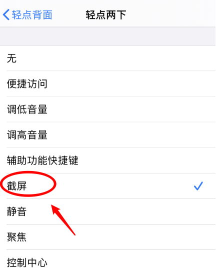 苏家屯苹果手机维修分享iPhone12如何启用双击截屏 