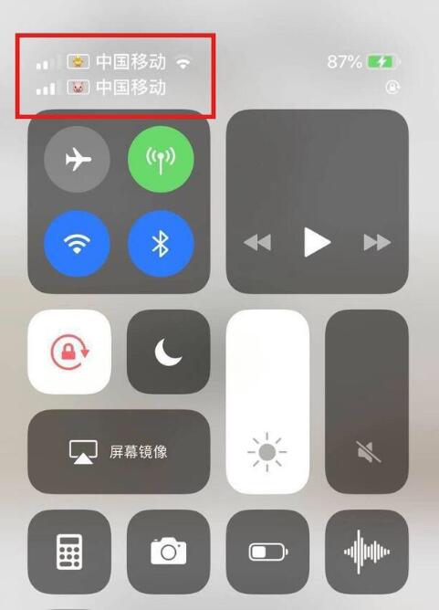 苏家屯苹果手机维修分享为 iPhone 12 双卡设置标签 